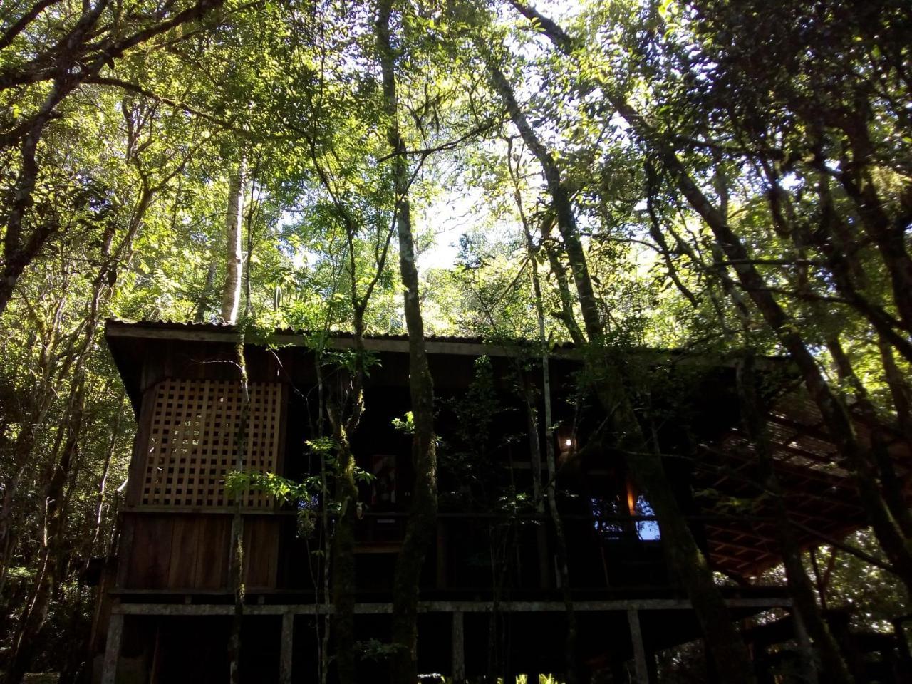 Saltos del Moconá Aldea Yaboty Hosteria מראה חיצוני תמונה